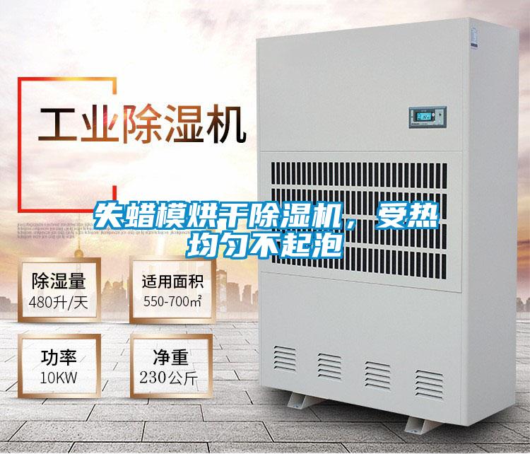 失蠟模烘干除濕機,受熱均勻不起泡