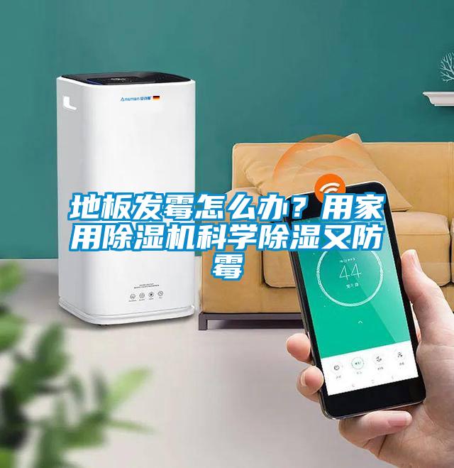 地板發霉怎么辦?用家用除濕機科學除濕又防霉