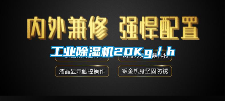 工業(yè)除濕機(jī)20Kg／h