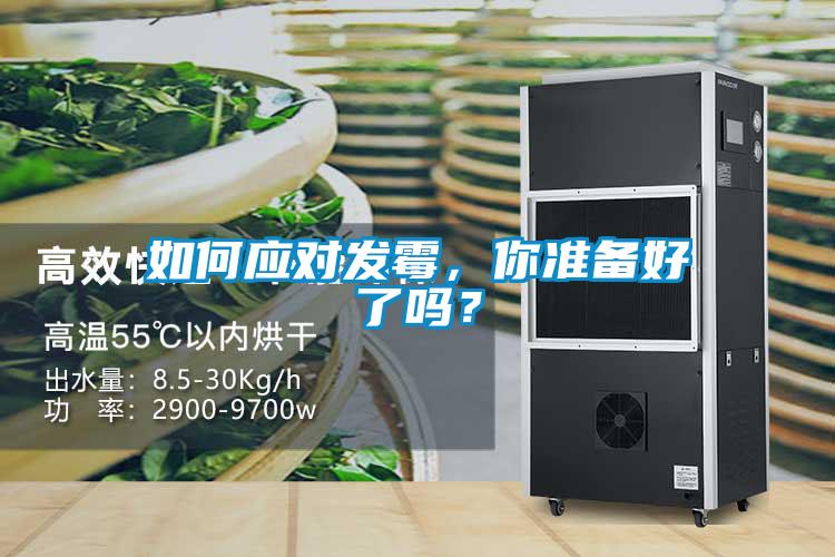 如何應對發霉,你準備好了嗎?