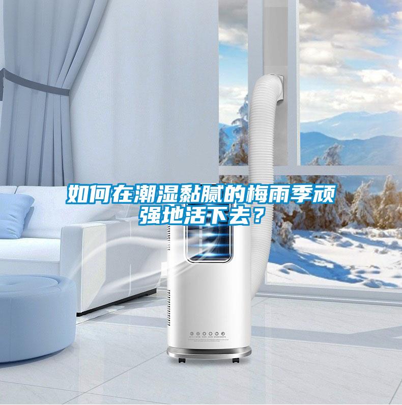 如何在潮濕黏膩的梅雨季頑強地活下去?