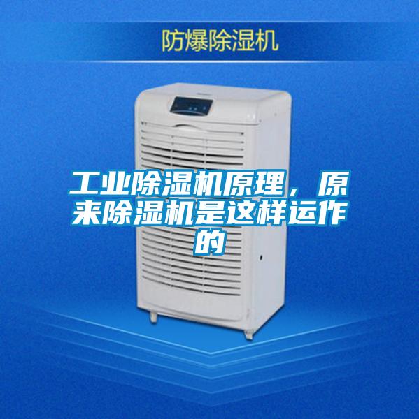 工業除濕機原理,原來除濕機是這樣運作的