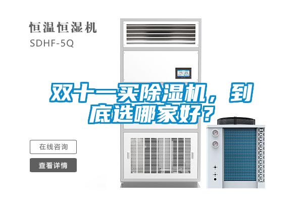 雙十一買除濕機,到底選哪家好?