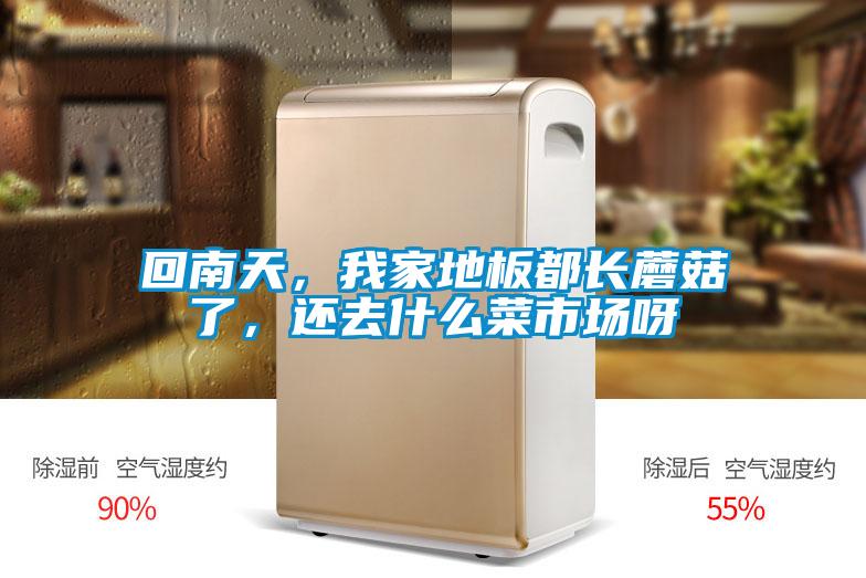 回南天，我家地板都長蘑菇了，還去什么菜市場呀