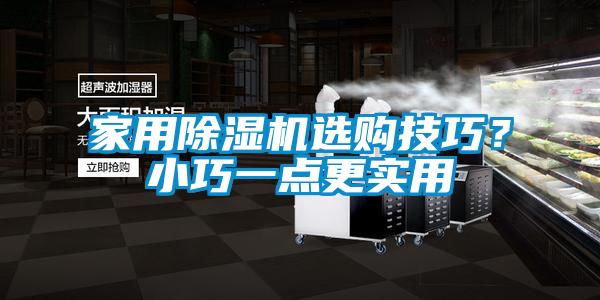 家用除濕機(jī)選購技巧？小巧一點(diǎn)更實(shí)用