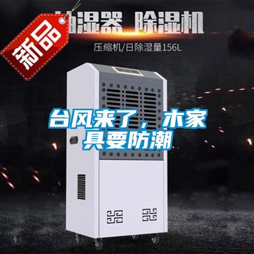 臺風來了,木家具要防潮