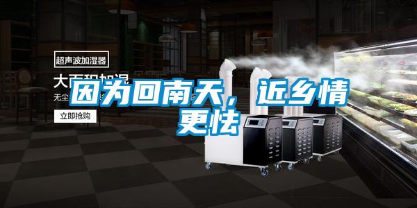 因為回南天，近鄉情更怯