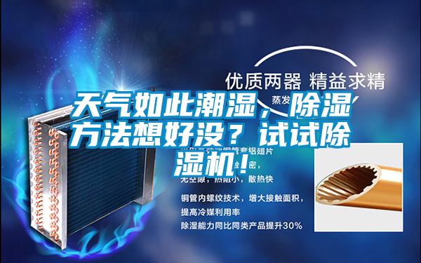 天氣如此潮濕,除濕方法想好沒?試試除濕機(jī)!