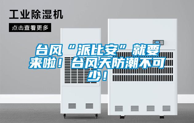 臺(tái)風(fēng)“派比安”就要來啦！臺(tái)風(fēng)天防潮不可少！