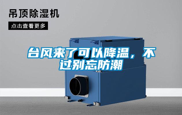 臺風來了可以降溫,不過別忘防潮