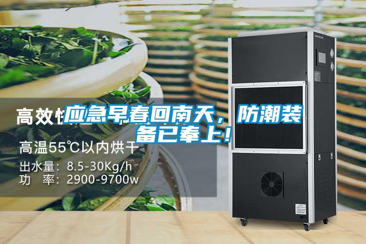 應急早春回南天,防潮裝備已奉上!