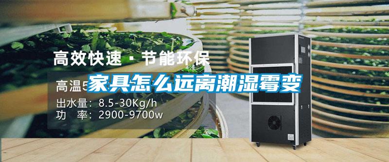 家具怎么遠離潮濕霉變