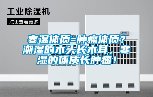 寒濕體質(zhì)=腫瘤體質(zhì)?潮濕的木頭長木耳,寒濕的體質(zhì)長腫瘤!