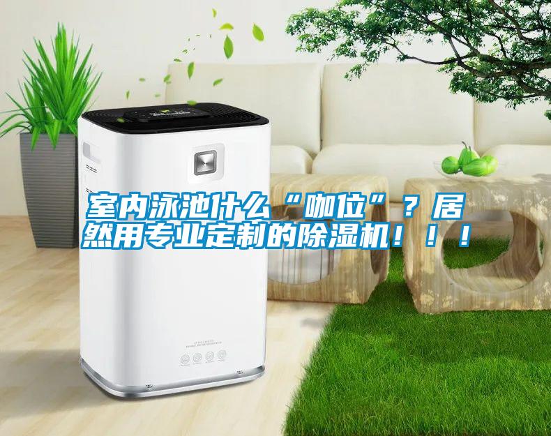 室內(nèi)泳池什么“咖位”?居然用專業(yè)定制的除濕機(jī)!!!