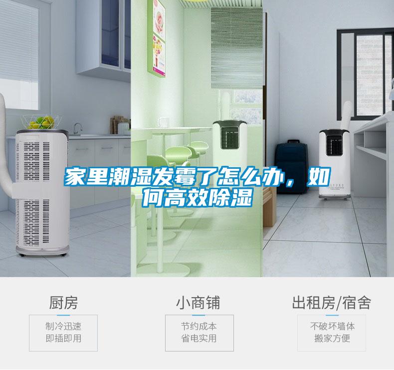 家里潮濕發霉了怎么辦,如何高效除濕