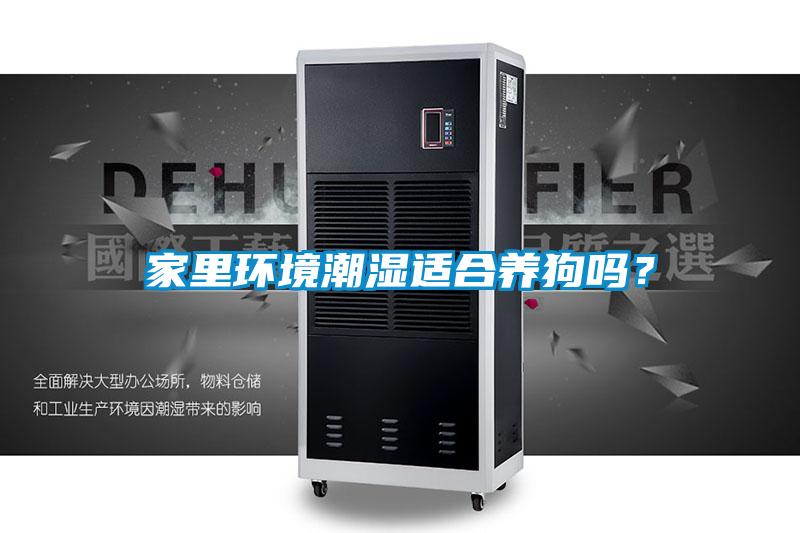 家里環境潮濕適合養狗嗎?