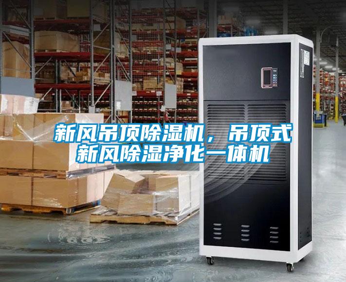 新風(fēng)吊頂除濕機,吊頂式新風(fēng)除濕凈化一體機