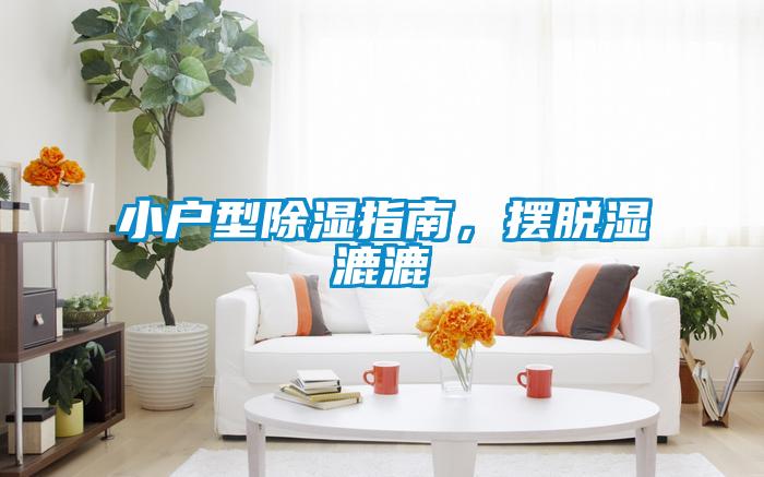 小戶型除濕指南,擺脫濕漉漉