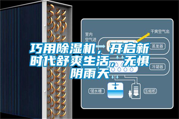 巧用除濕機(jī),開(kāi)啟新時(shí)代舒爽生活,無(wú)懼陰雨天