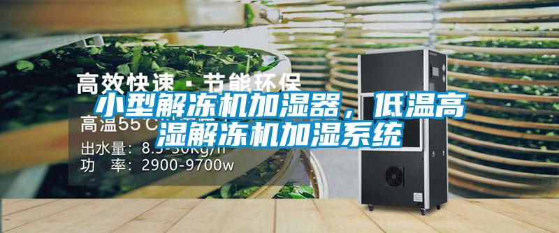 小型解凍機(jī)加濕器,低溫高濕解凍機(jī)加濕系統(tǒng)