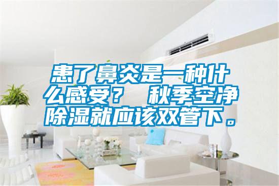 患了鼻炎是一種什么感受? 秋季空凈除濕就應該雙管下。