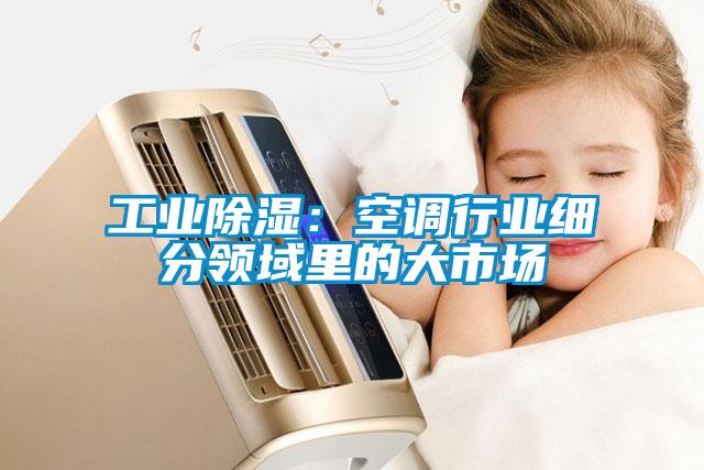工業除濕:空調行業細分領域里的大市場