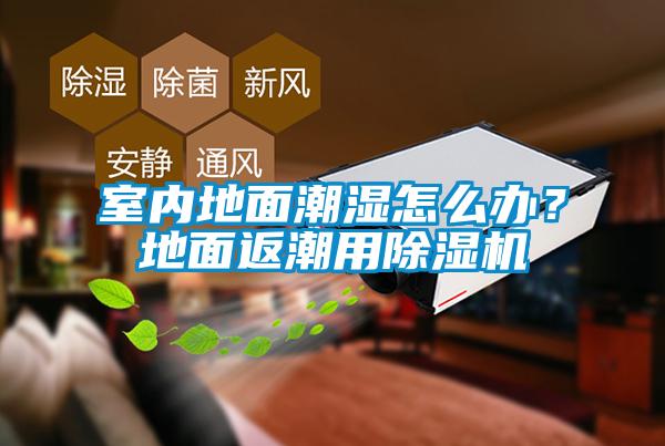 室內地面潮濕怎么辦？地面返潮用除濕機