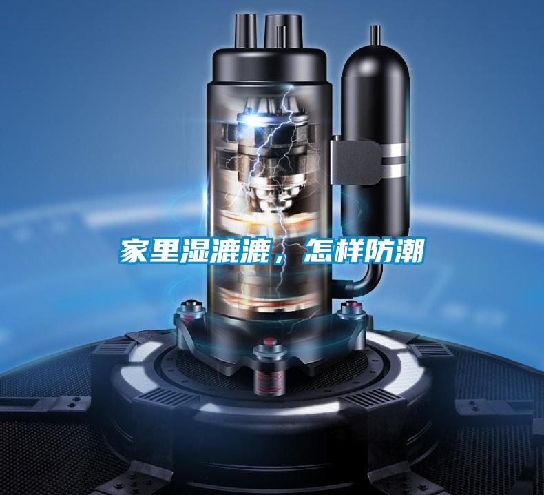家里濕漉漉,怎樣防潮