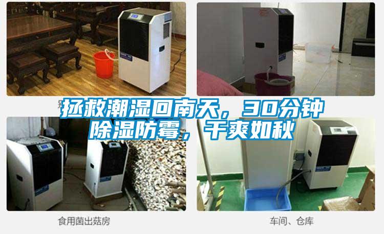 拯救潮濕回南天,30分鐘除濕防霉,干爽如秋