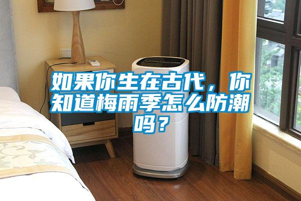 如果你生在古代,你知道梅雨季怎么防潮嗎?