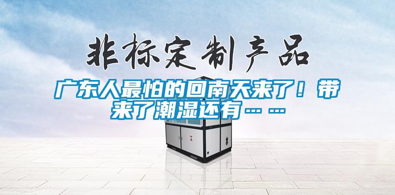 廣東人最怕的回南天來了!帶來了潮濕還有……