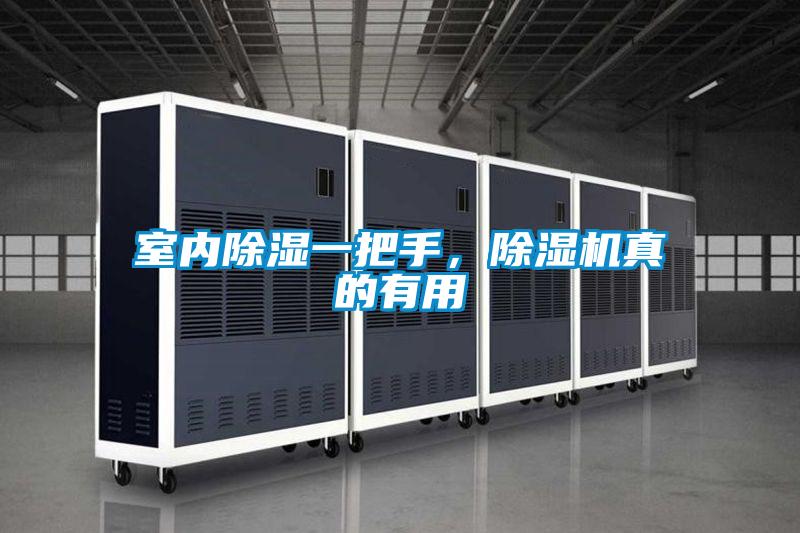 室內除濕一把手,除濕機真的有用