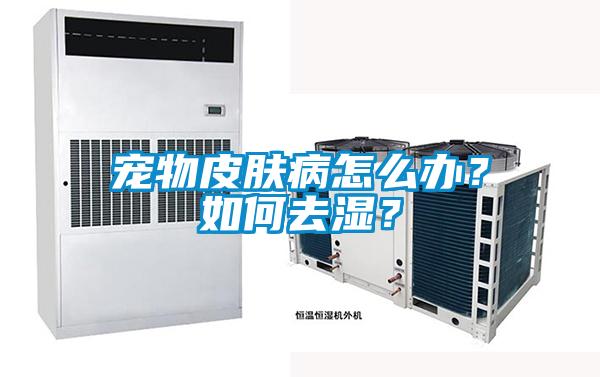 寵物皮膚病怎么辦？如何去濕？