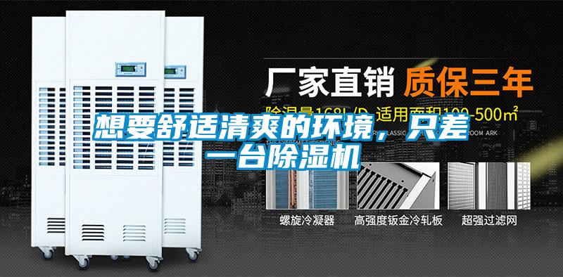 想要舒適清爽的環境,只差一臺除濕機