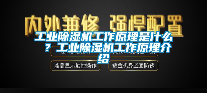 工業除濕機工作原理是什么 ?工業除濕機工作原理介紹