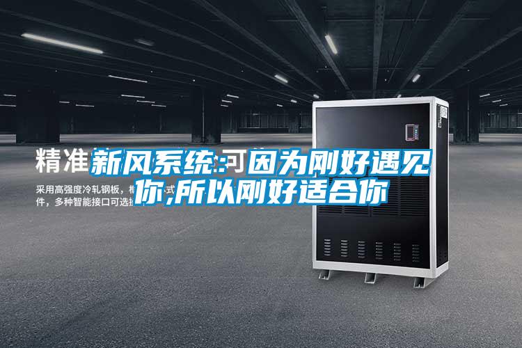 新風(fēng)系統(tǒng):因為剛好遇見你,所以剛好適合你