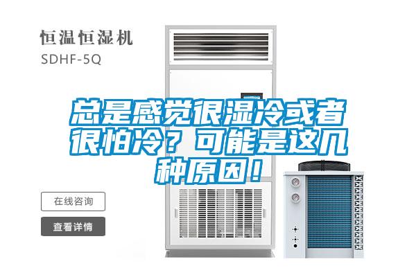 總是感覺很濕冷或者很怕冷？可能是這幾種原因！