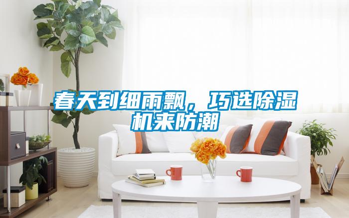 春天到細雨飄,巧選除濕機來防潮