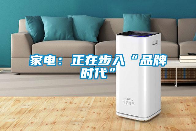 家電:正在步入“品牌時代”