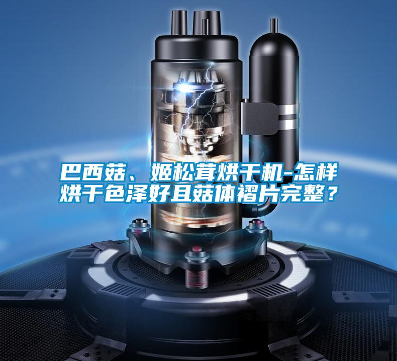 巴西菇、姬松茸烘干機-怎樣烘干色澤好且菇體褶片完整?