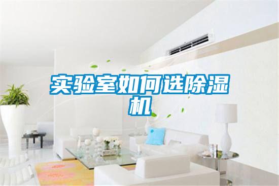 實驗室如何選除濕機(jī)