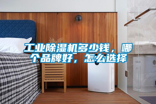 工業除濕機多少錢,哪個品牌好,怎么選擇