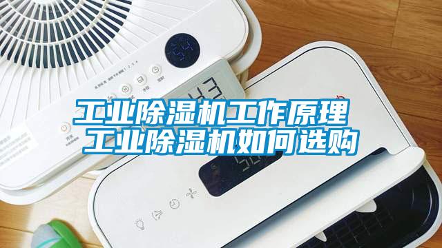 工業除濕機工作原理 工業除濕機如何選購