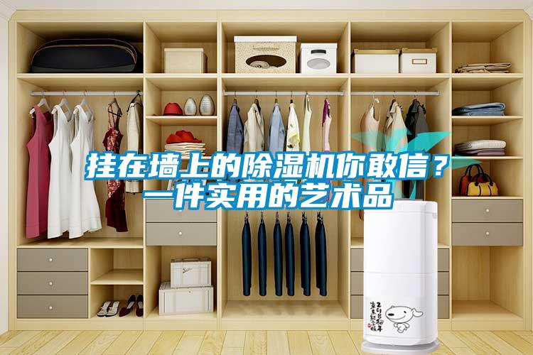 掛在墻上的除濕機你敢信？一件實用的藝術品