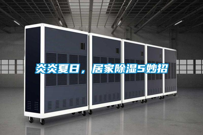 炎炎夏日,居家除濕5妙招