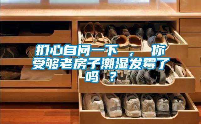 捫心自問一下 , 你受夠老房子潮濕發霉了嗎 ?