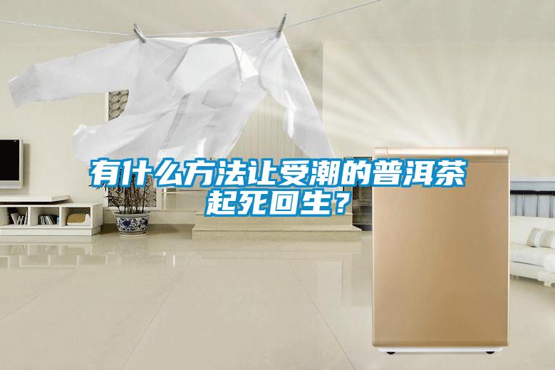 有什么方法讓受潮的普洱茶起死回生?