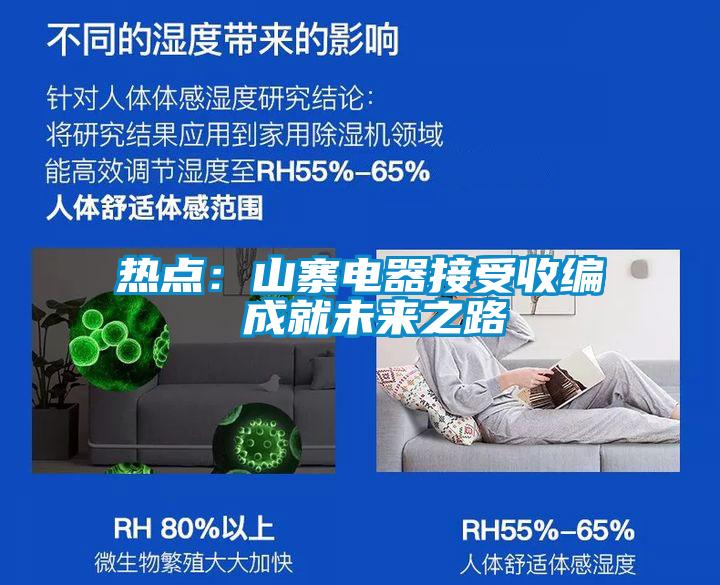 熱點:山寨電器接受收編 成就未來之路