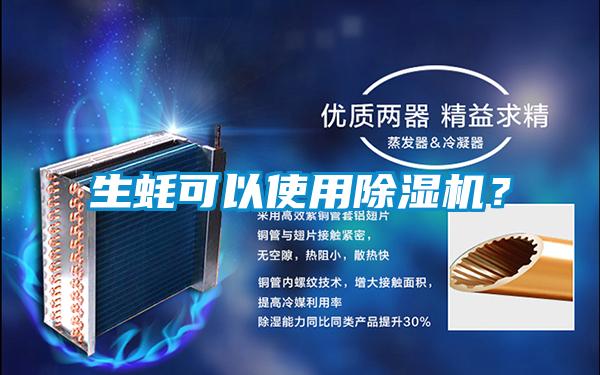 生蠔可以使用除濕機?