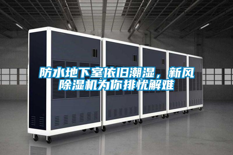 防水地下室依舊潮濕,新風除濕機為你排憂解難
